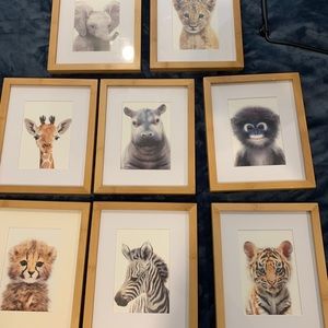 COPY - Picture frames with baby animal pictures.